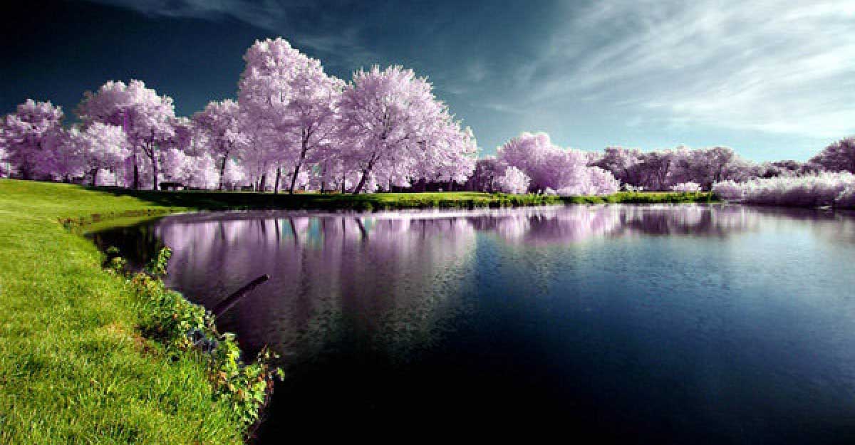 <span>নিউজ  টেন / </span>আইটিপল্লী নিউজ-১ ডেমো নিউজ  টেন